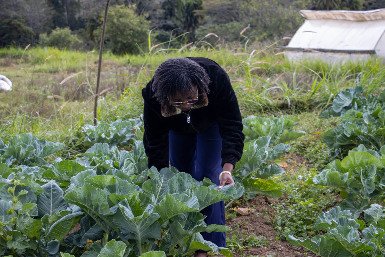 Modern farming methods in Africa